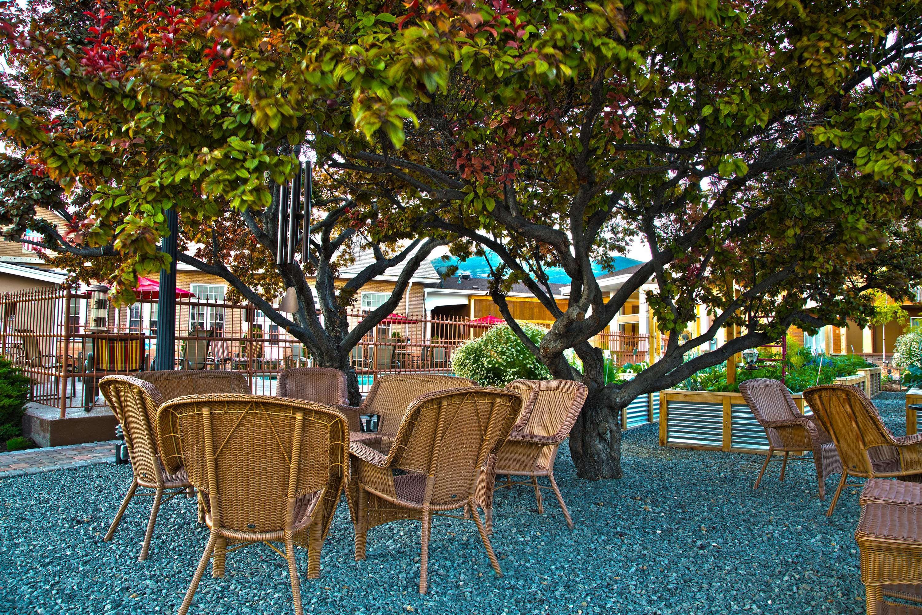 Best Western Plus Cedar City Hotel Exterior photo